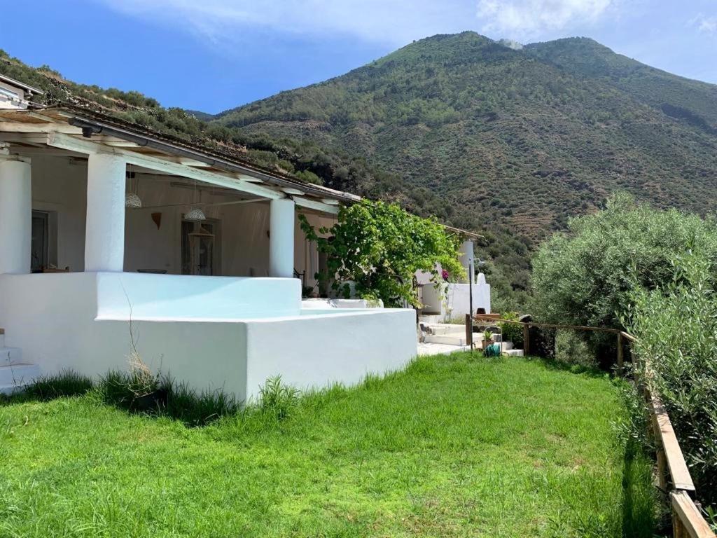 Le Ulivo Di Rinella
